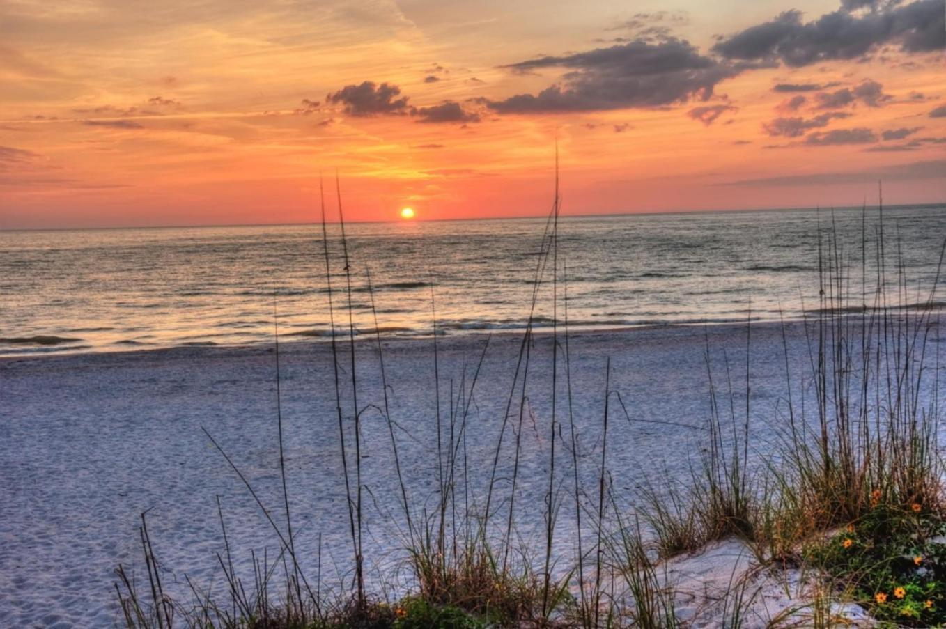 Boutique Retreat St. Pete Beach